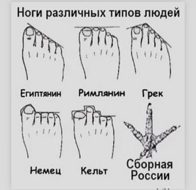 НОГИ различных ТИПОВ людей Египтянин Римлянин Грек