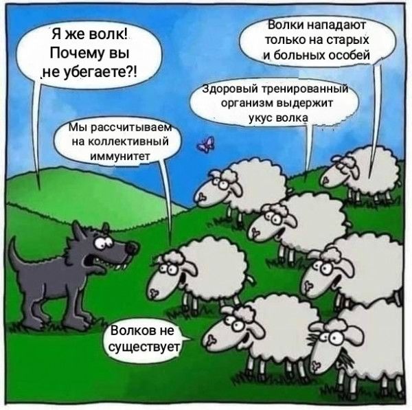 спки нападают Я Же ВОП К только на старых Почему вы и больных особей _ _не убегаете оровый тренир организм выдержит волка ы рассчитывае уху На коллективный иммунитет