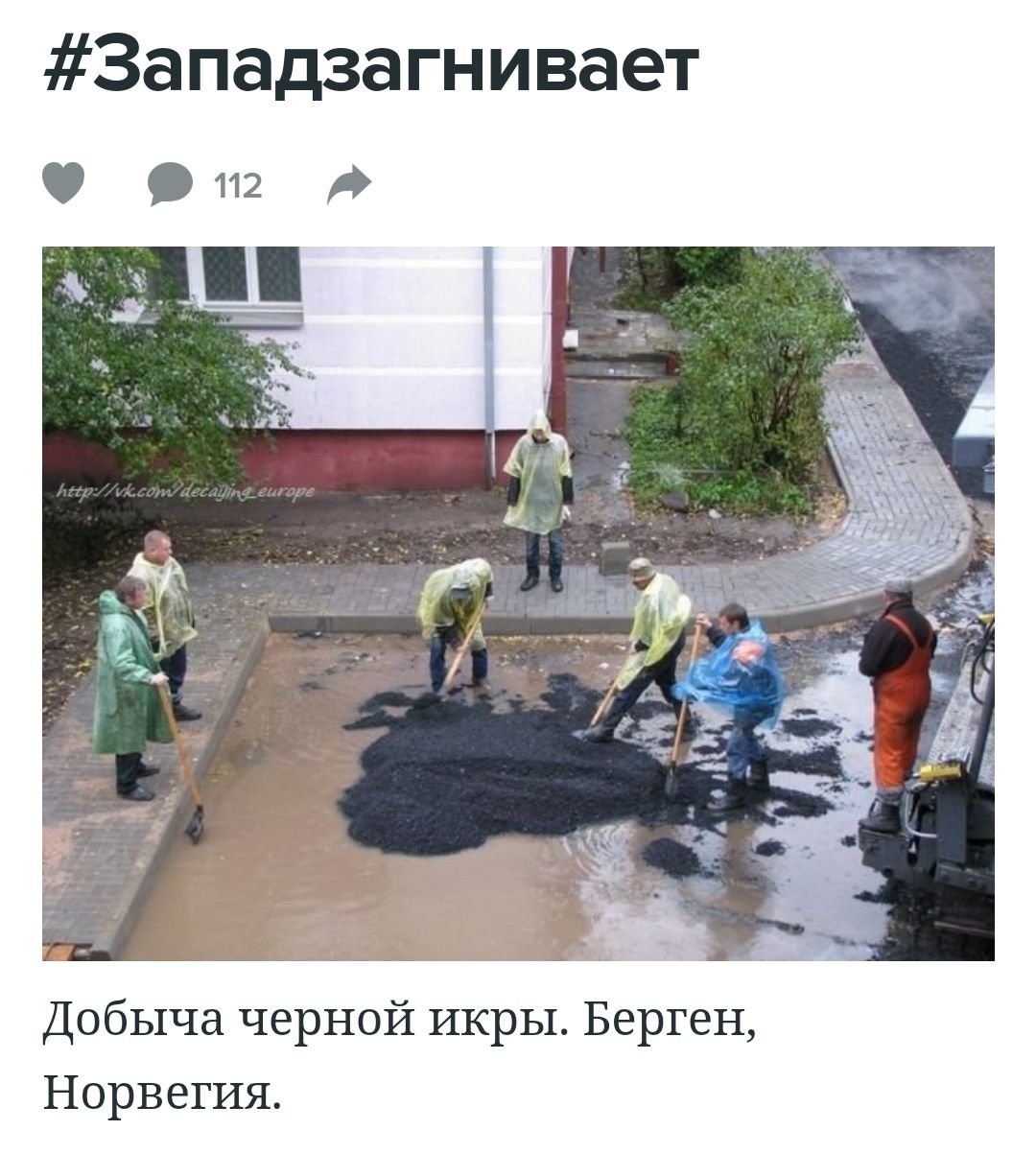 Западзагнивает 9 112 Добыча черной икры Берген Норвегия