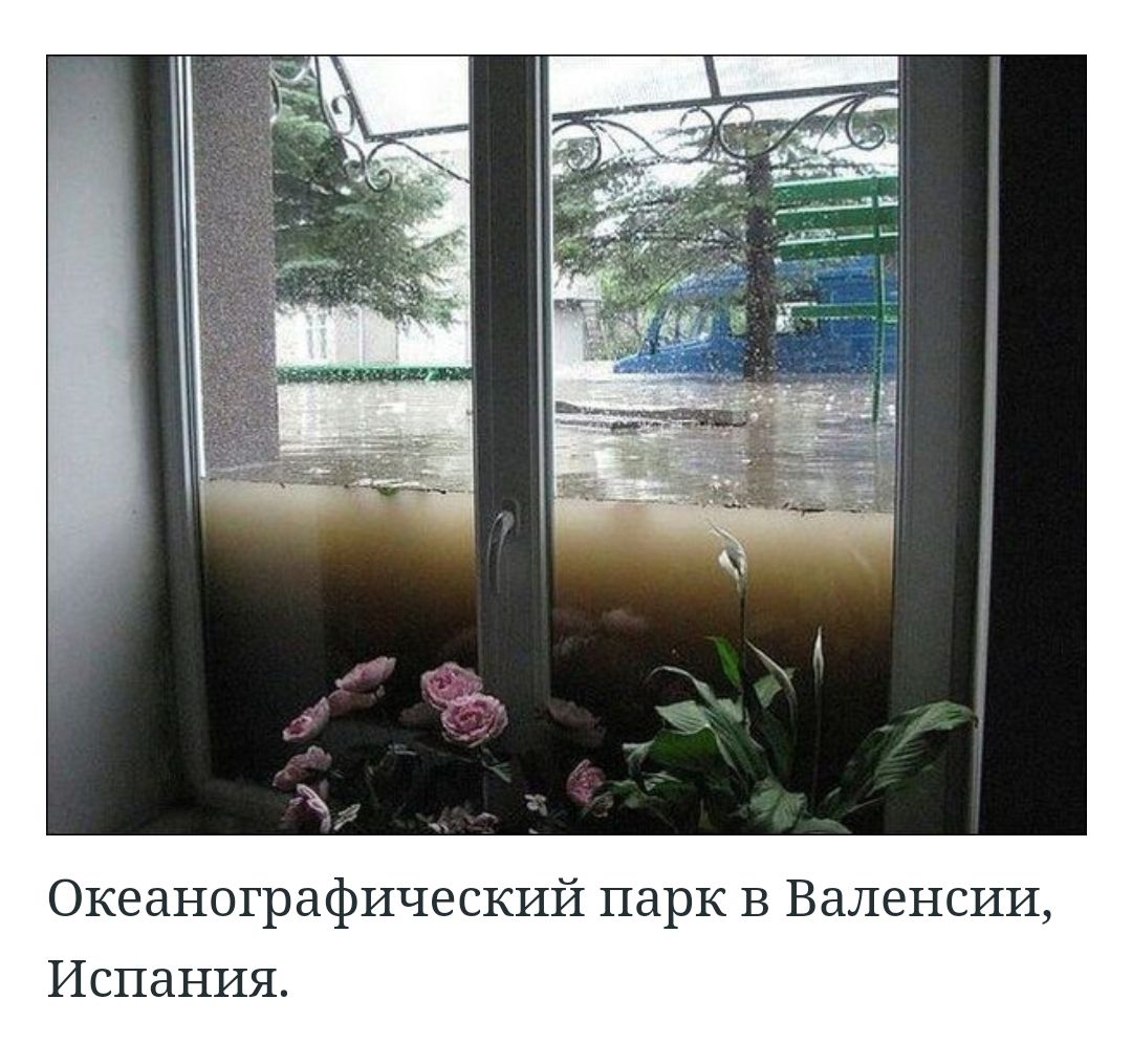 Океанографический парк В Валенсии Испания