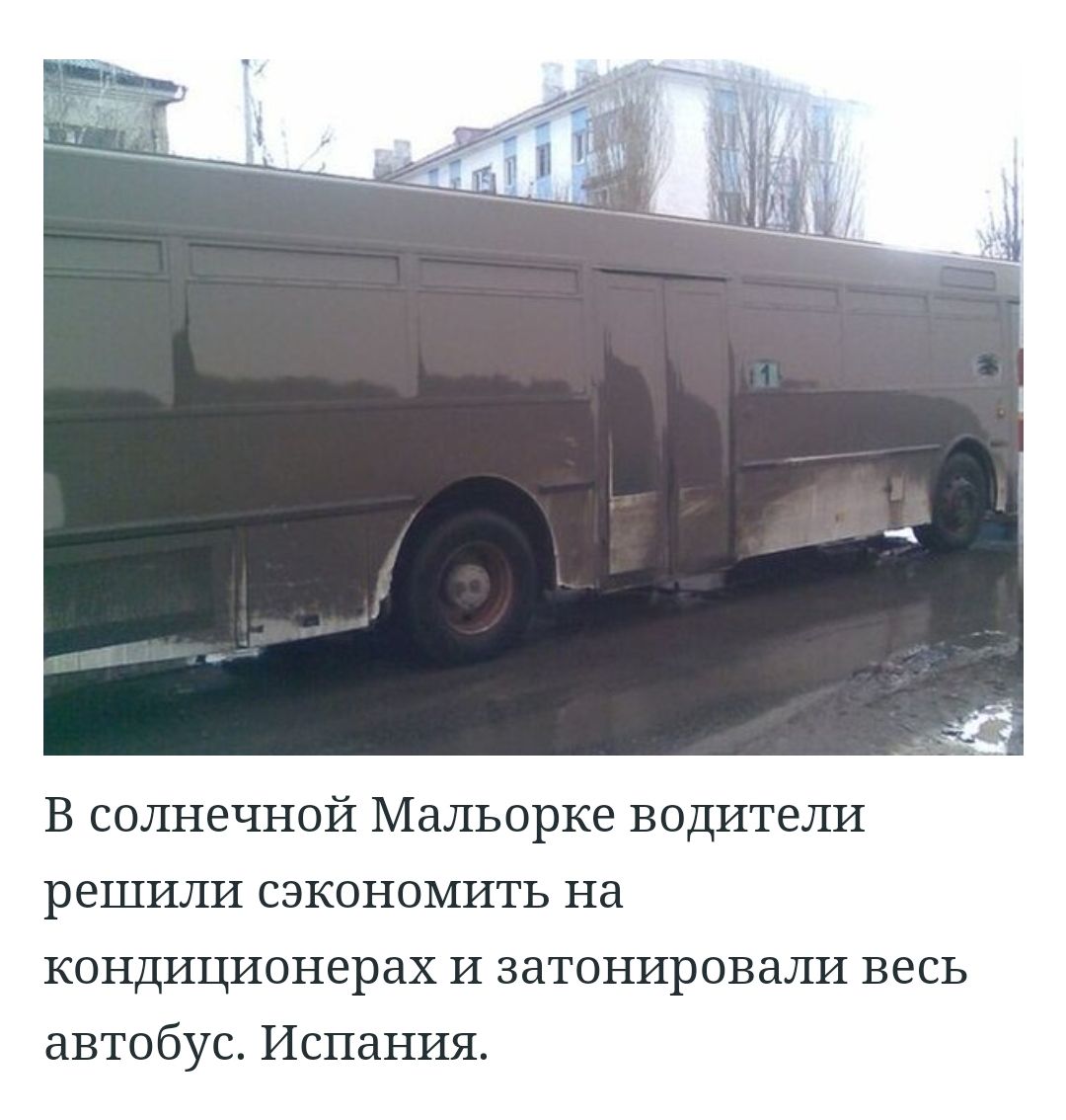 В солнечной Мальорке водители решили сэкономить на кондиционерах и затонировали весь автобус Испания