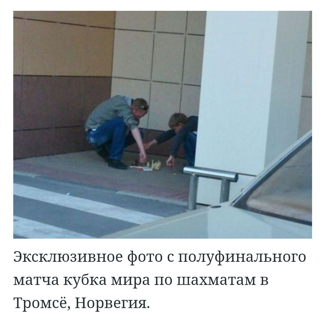 _ _ Эксклюзивное фото с полуфинального матча кубка мира по шахматам в Тромсё Норвегия