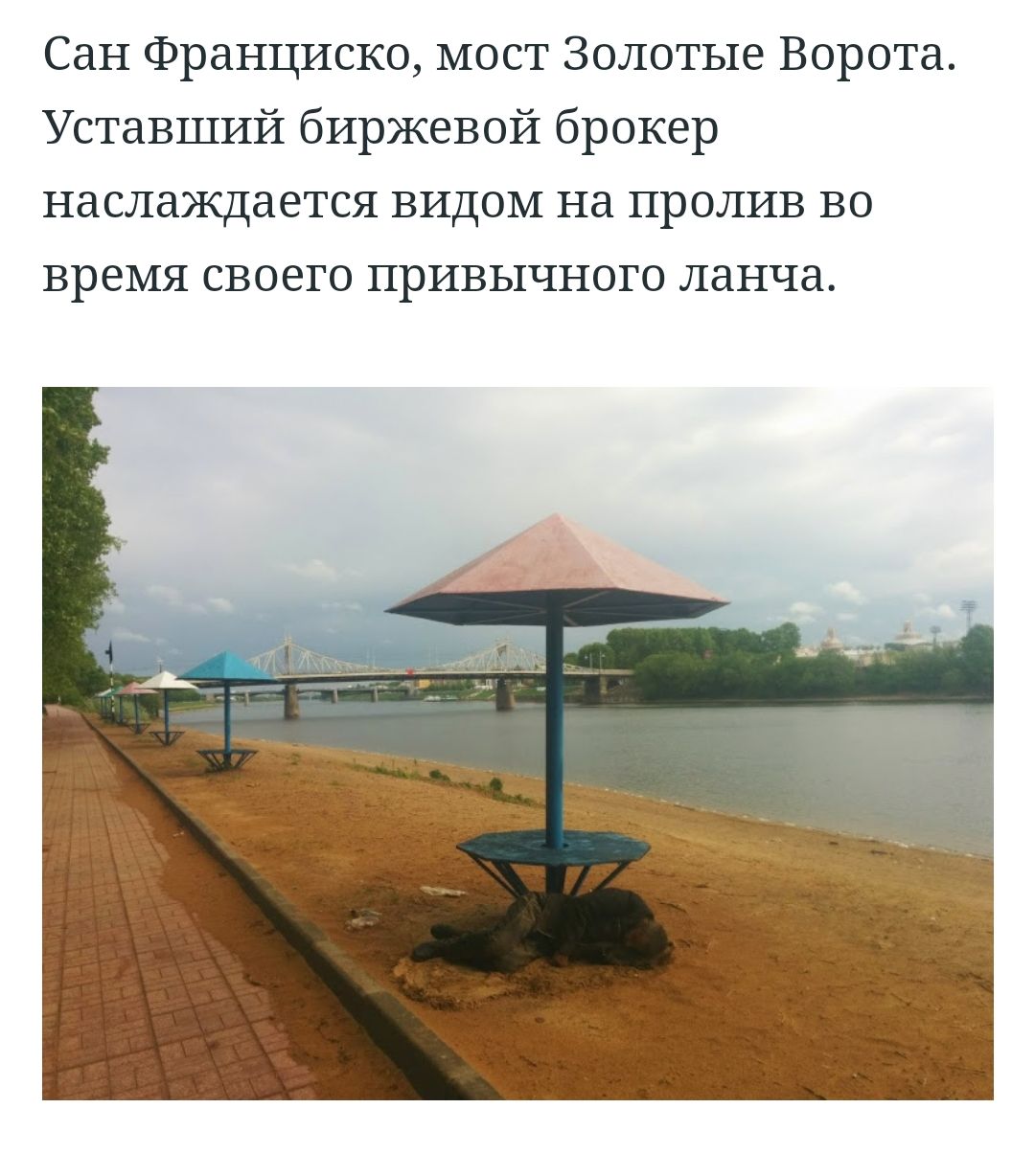 Сан Франциско мост Золотые Ворота Уставший биржевой брокер наслаждается видом на пролив во ВРЕМЯ СВОЕГО ПРИВЬ1ЧНОГО ЛдНЧд