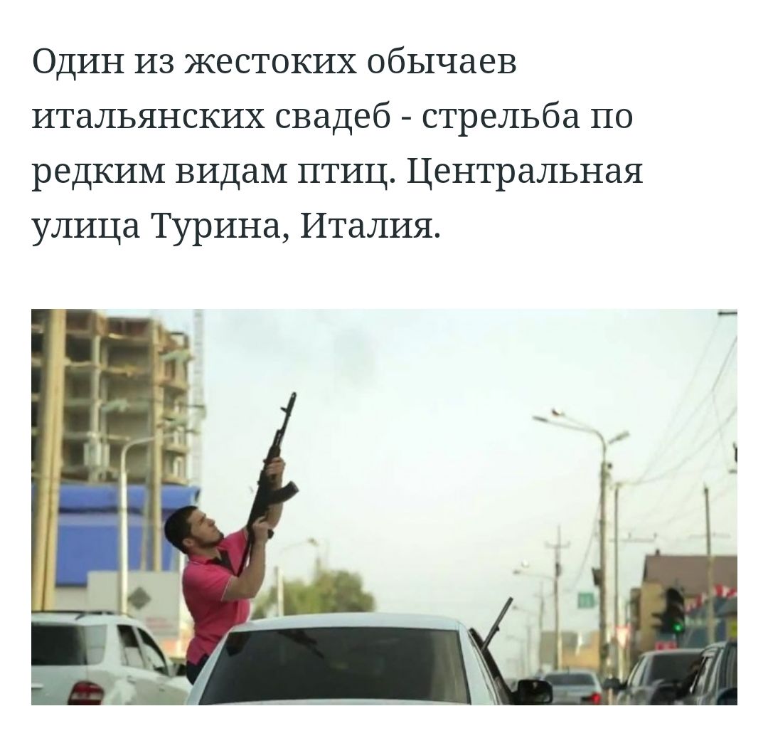 Один из жестоких обычаев итальянских свадеб стрельба по редким видам птиц Центральная улица Турина Италия