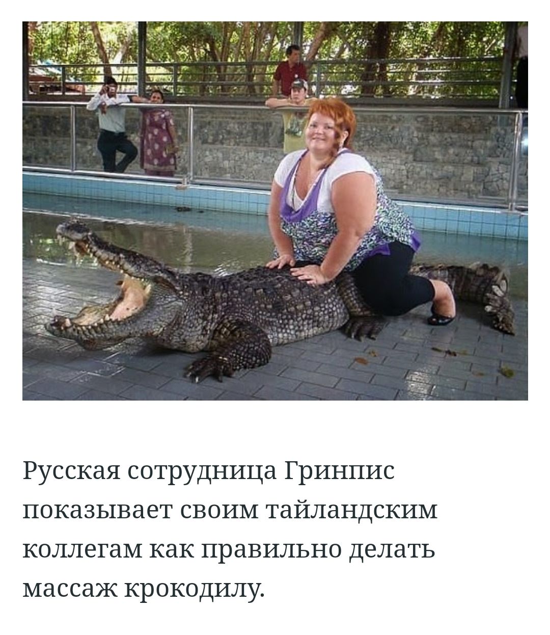 Русская сотрудница Гринпис показывает своим тайландским коллегам как правильно Делать МССдЖ КРОКОДИЛУ