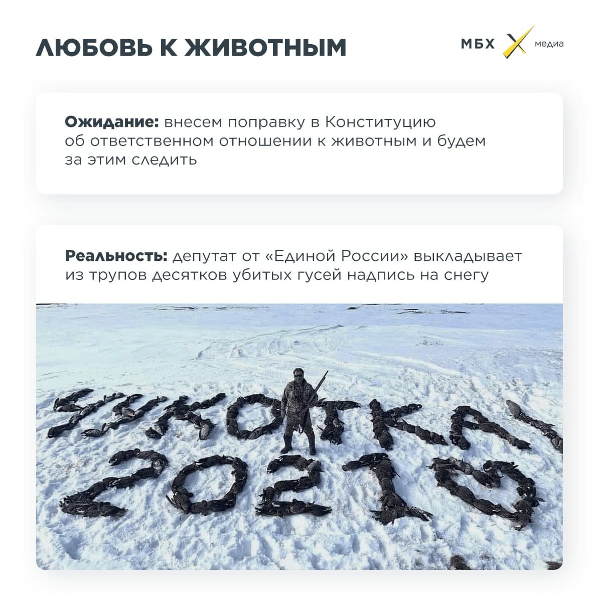 АЮБОВЬ К ЖИВОТНЫМ МБХ Хм Ожидание внесем поправку в Конституцию об ответственном отношении к животным и будем за этим САедить Реальность депутат от Единой России ВЫКАаАЫВдеТ из трупов десятков убитых гусей надпись на снегу
