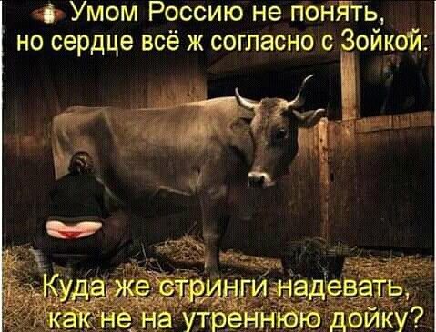 Умом Россию не понЯгь но сердце всё ж согласно с Зоикой