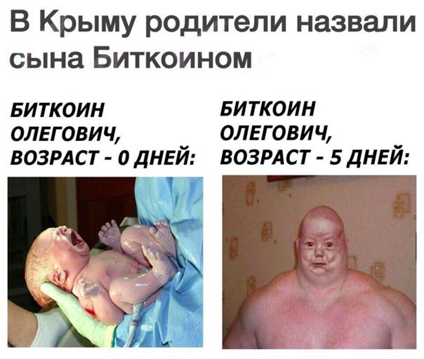 В Крыму родители назвали сына Биткоином виткоин БИТКОИН олвгович олегавич возмет 0 дней возрлст 5 днвй