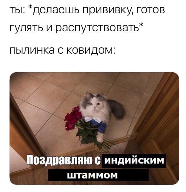 ты делаешь прививку готов гулять и распутствовать ПЫЛИНКЭ С КОВИДОМЦ Поздпавпяю индийским штаммом