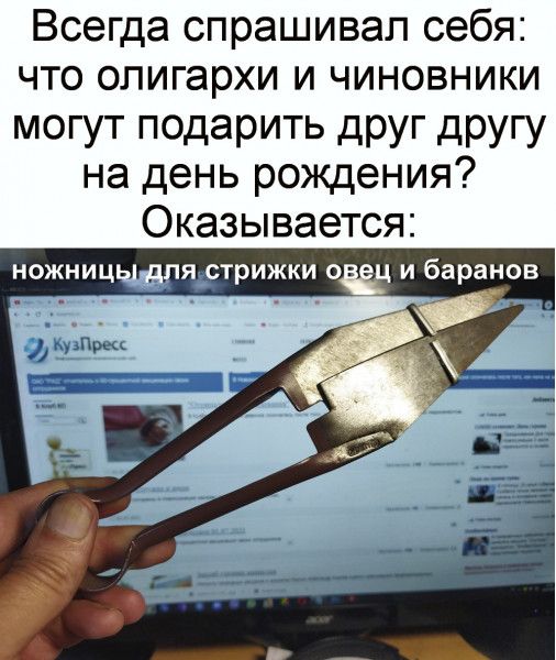 Всегда спрашивал себя что олигархи и чиновники могут подарить друг другу на день рождения Оказывается ножницшряётрижки О Ц И баранов