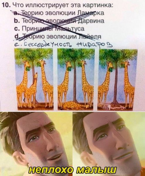 10 Что иллюстрирует эта картинка