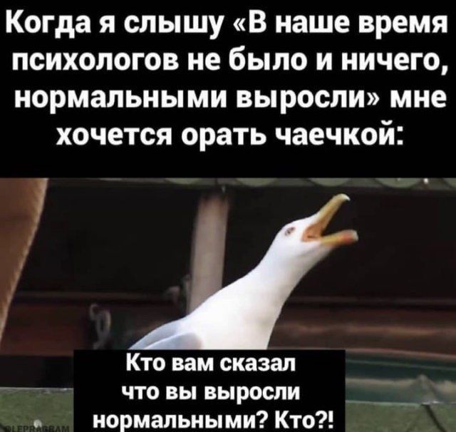 Когда я слышу В наше время психологов не было и ничего нормальными выросли мне хочется орать чаечкой Кто вам сказал что вы выросли нормальными Кто