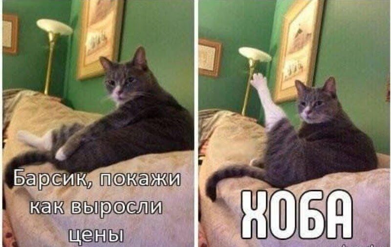 Ъш щгши  е ны