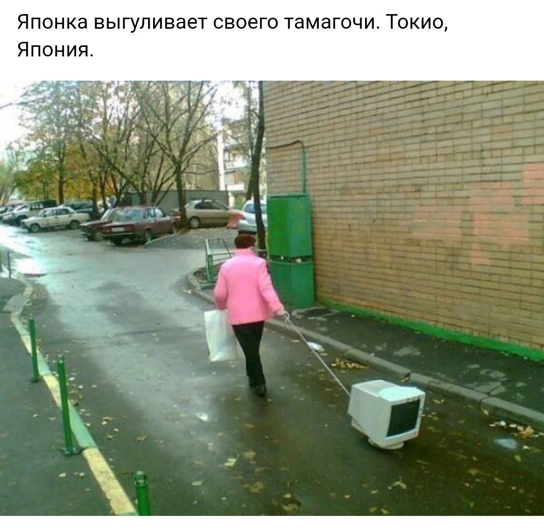 ЯПОНКЭ ВЫГУЛИВЭЭТ СВОЭГО тамагочи ТОКИО