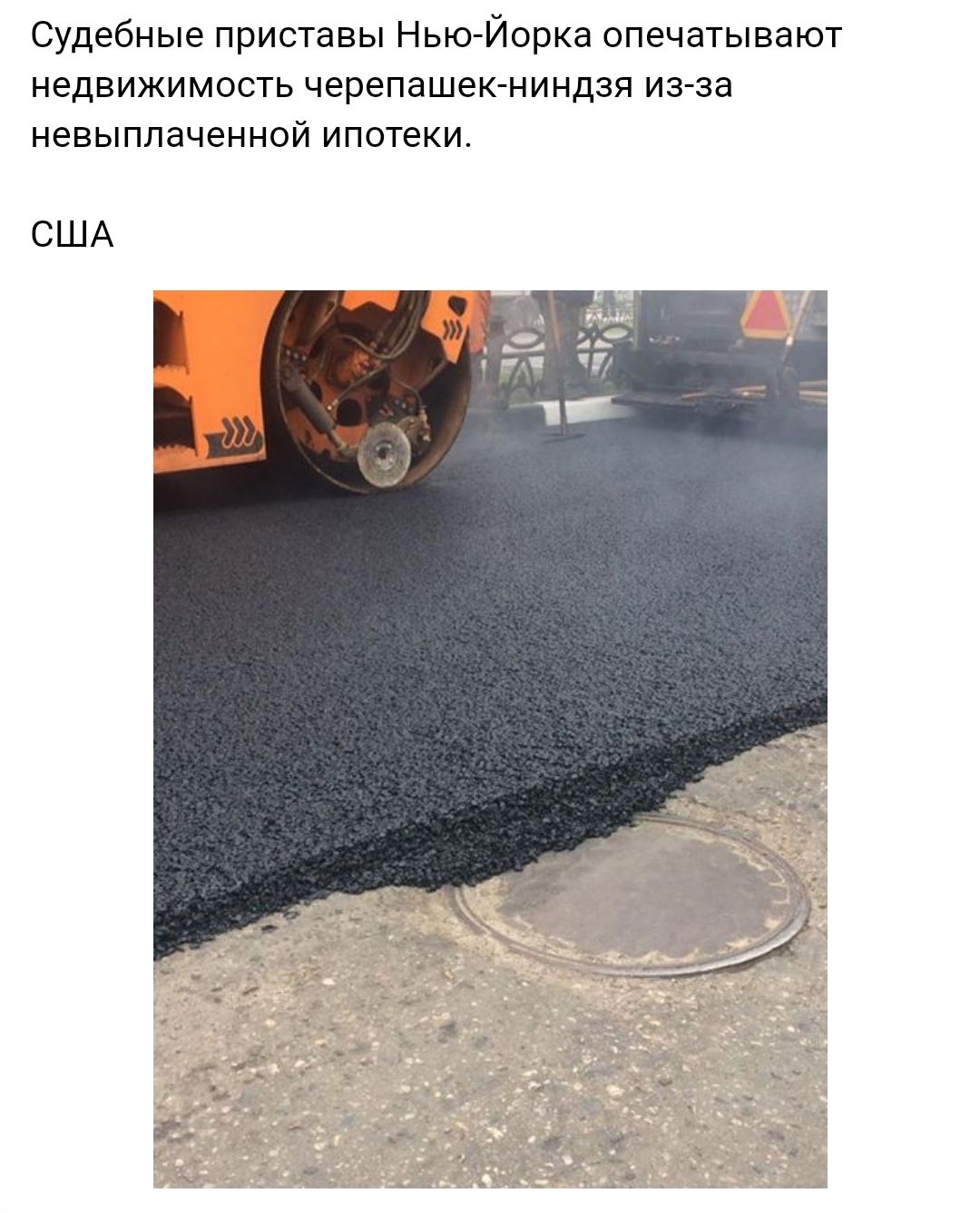 Судебные приставы Нью Йорка опечатывают недвижимость черепашек ниндзя из за невыплаченной ипотеки США
