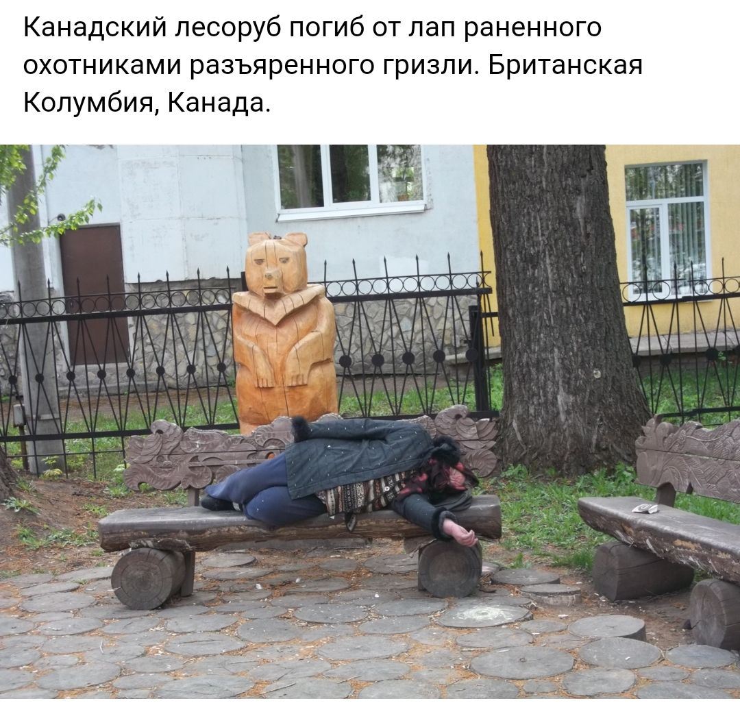 Канадский лесоруб погиб от лап раненного охотниками разъяренного гризли Британская Колумбия Канада