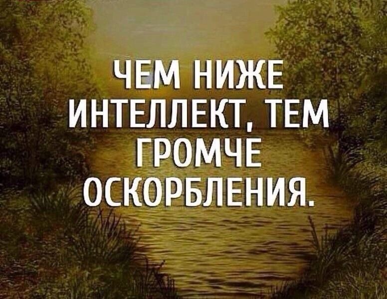 ЧЕМ НИЖЕ ИНТЕЛЛЕКТ ТЕМ ГРОМЧЕ ОСКОРБЛЕНИЯ
