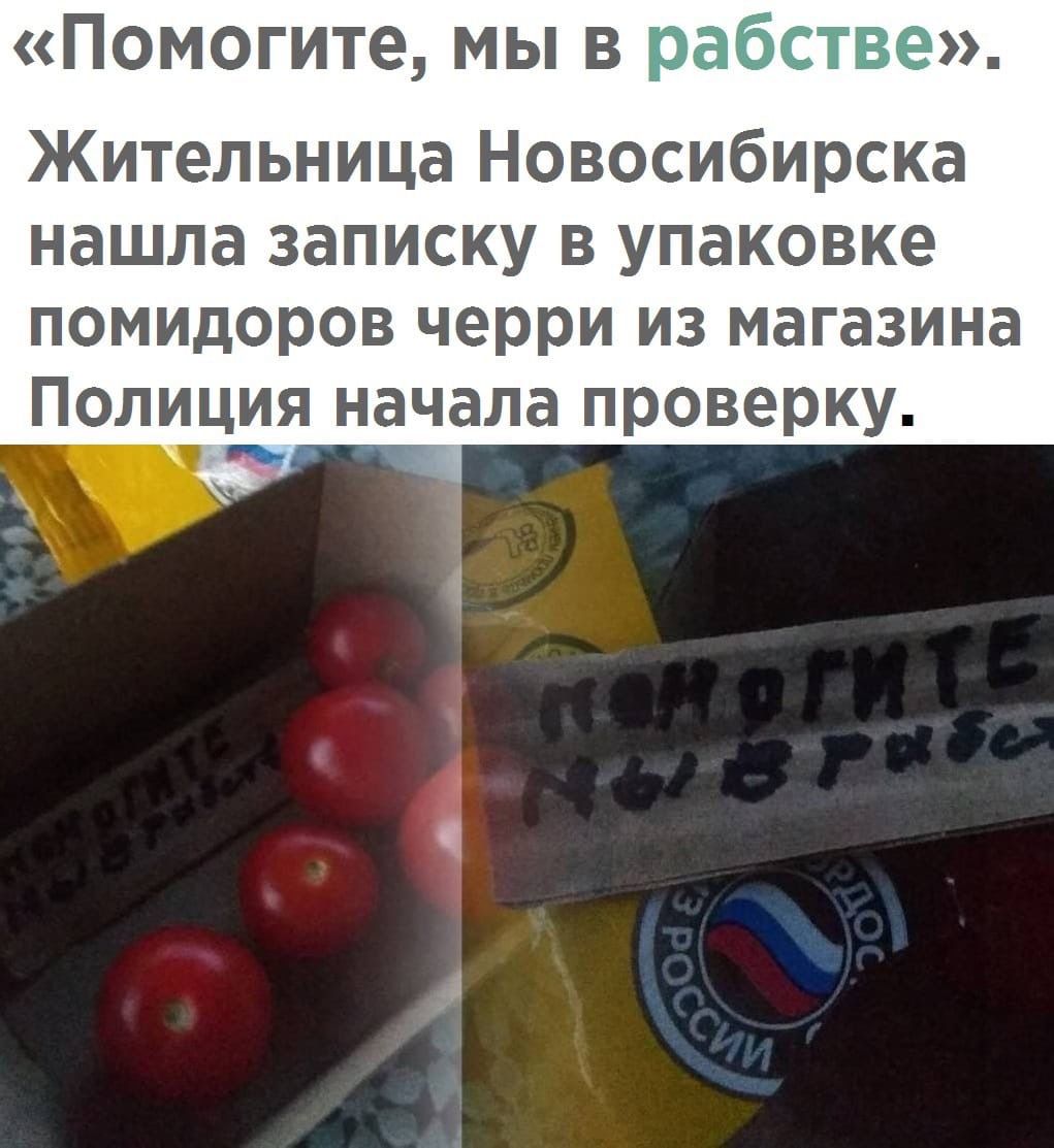 Помогите мы в р Жительница Новосибирска нашла записку в упаковке помидоров черри из магазина Полицияначала проверку