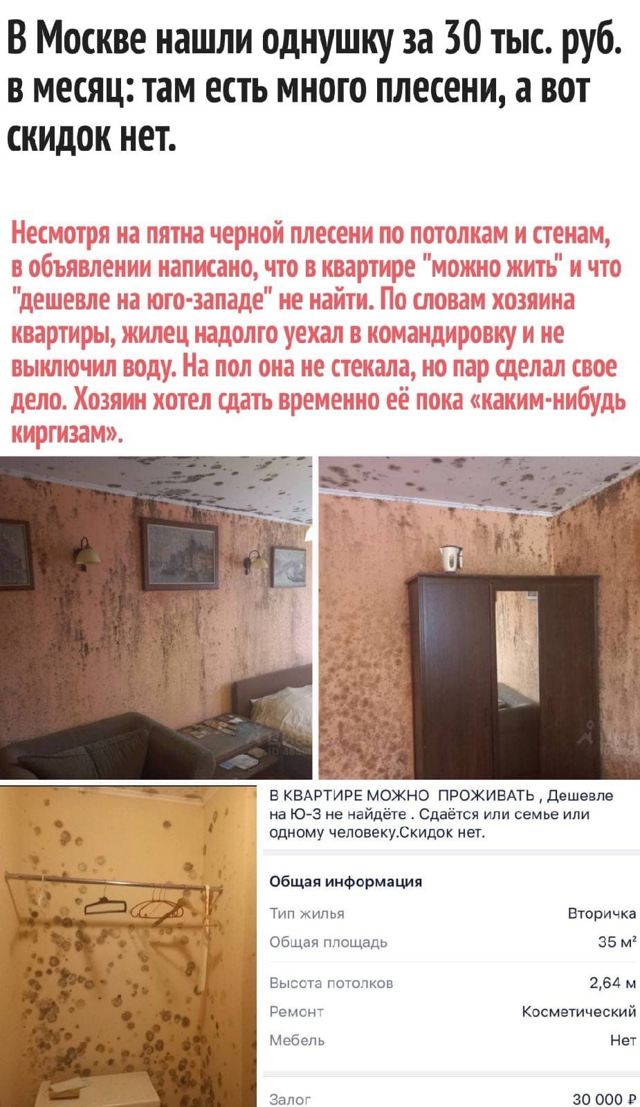 В Москве нашли однушку за 30 тыс руб в месяц там есть много плесени а вот скидок нет В КВАРТИРЕ МОЖНО ПРОЖИБАТЬ Дешевле на ЮЗ не найдёте Сдаётся или семье или одному чеповекуСкидок нет Общая информация Тип жилья Вторичка Общая площадь 35 м2 Высота потолков 264 м Ремо Косметический Мебель Нет Залог 30 000 Р