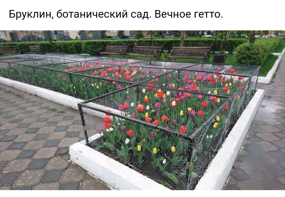 Бруклин ботанический сад Вечное гетто