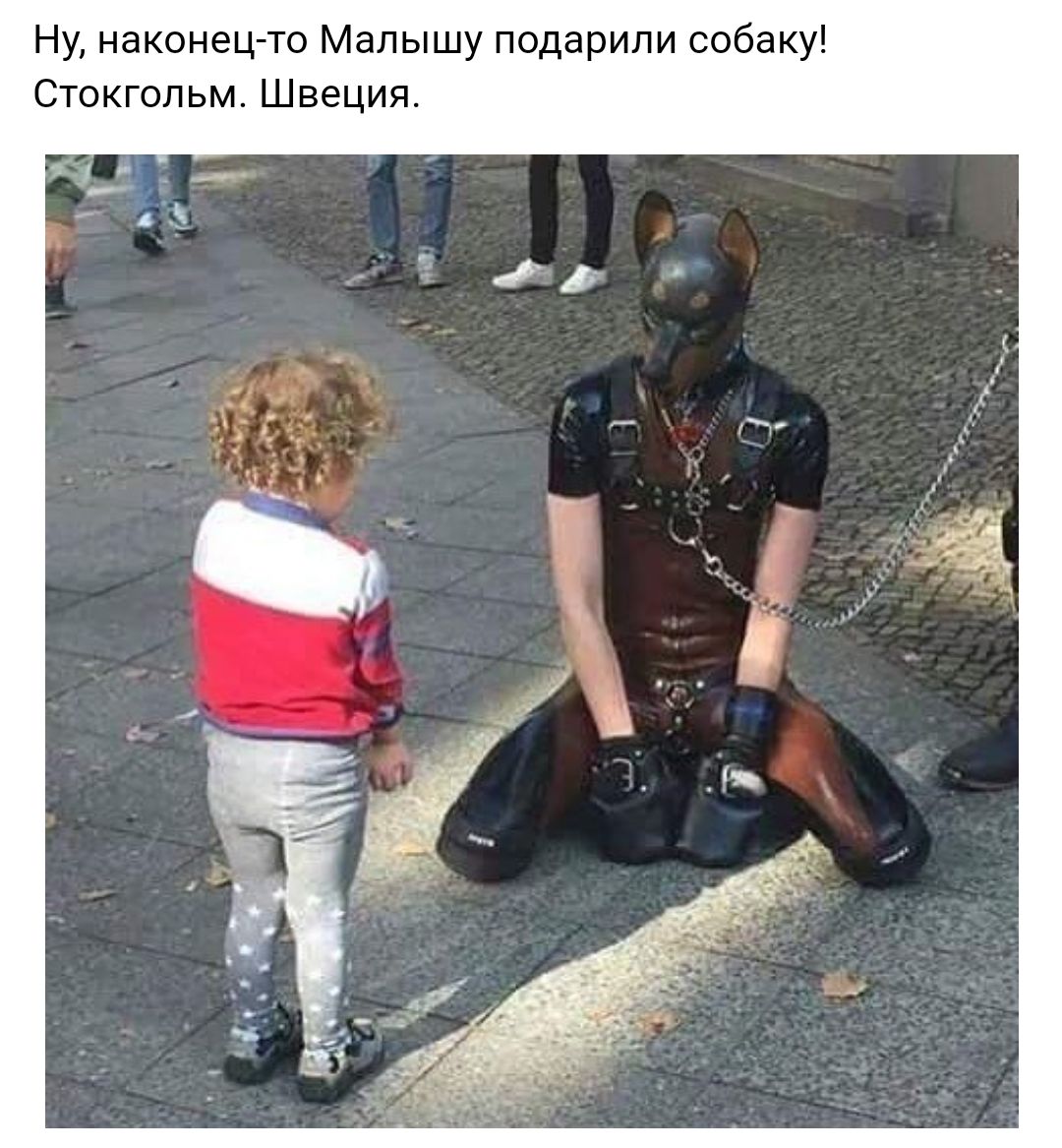Ну наконец то Малышу подарили собаку Стокгольм Швеция