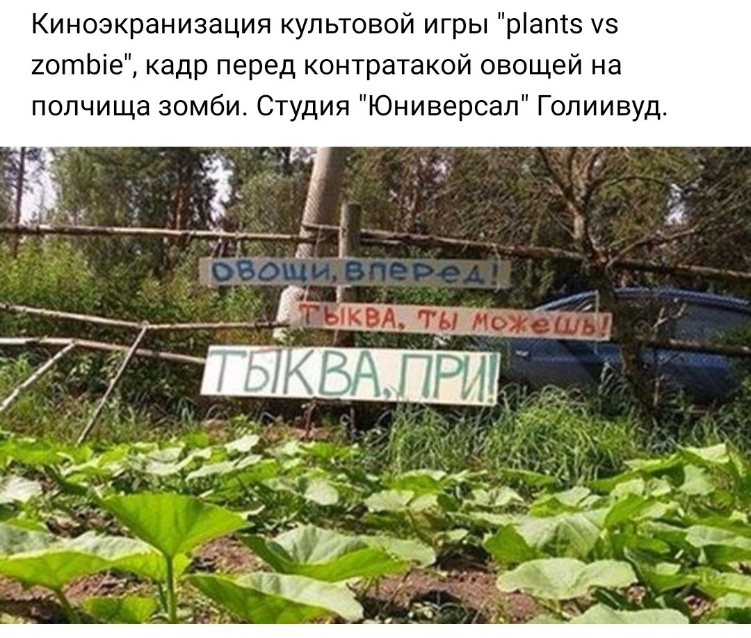 Киноэкранизация культовой игры ріаптз уз 20тЬіе кадр перед контратакой овощей на полчища зомби Студия Юниверсал Голиивуд