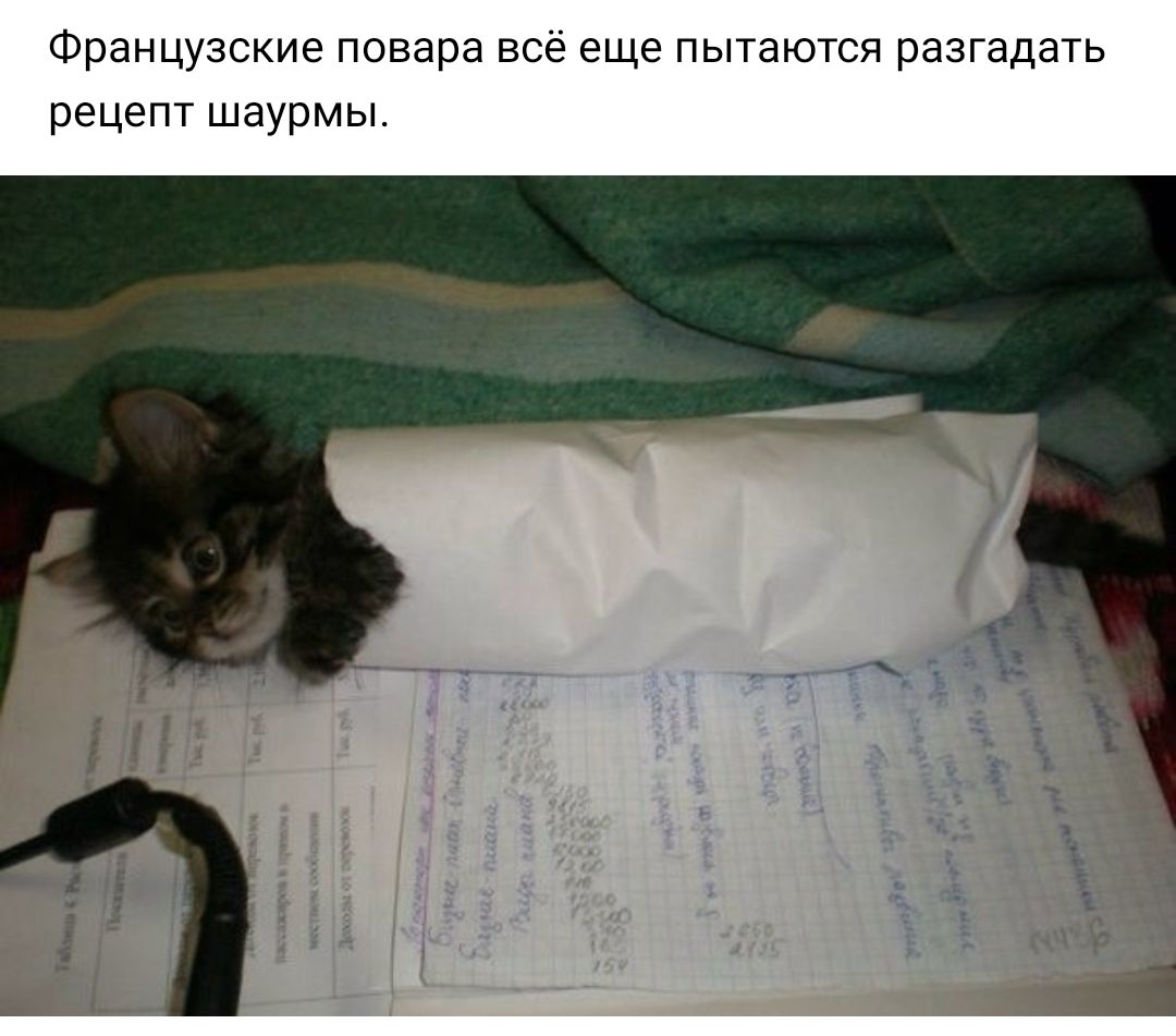 Французские повара всё еще пытаются разгадать рецепт шаурмы