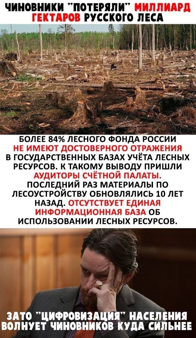ЧИНОВНИКИ ПОТЕРЯПИ ИИППИАРЦ ГЕКТАРОВ РУССКОГО ЛЕСА БОЛЕЕ 84 ЛЕСНОГО ФОНДА РОССИИ НЕ ИМЕЮТ ДОСТОВЕРНОГО ОТРАЖЕНИЯ В ГОСУДАРСТВЕННЫХ БАЗАХ УЧЕТА ЛЕСНЫХ РЕСУРСОВ К ТАК0__У ВЫВОДУ ПРИШЛИ АУДИТОРЫ СЧЕТНОЙ ПАЛАТЫ ПОСЛЕДНИИ РАЗ МАТЕРИАЛЫ ПО ЛЕСОУСТРОИСТВУ ОБНОВЛЯЛИСЬ 10 ЛЕТ НАЗАД ОТСУТСТВУЕТ ЕДИНАЯ ИНФОРМАЦИОННАЯ БАЗА ОБ ИСПОЛЬЗОВАНИИ ЛЕСНЫХ РЕСУРСОВ ъ ЗАГО ЦИФРОВИЗАЦИЯ НАСЕЛЕНИЯ ВОЛНУЕГ ЧИНОВНИКОВ КУДА 