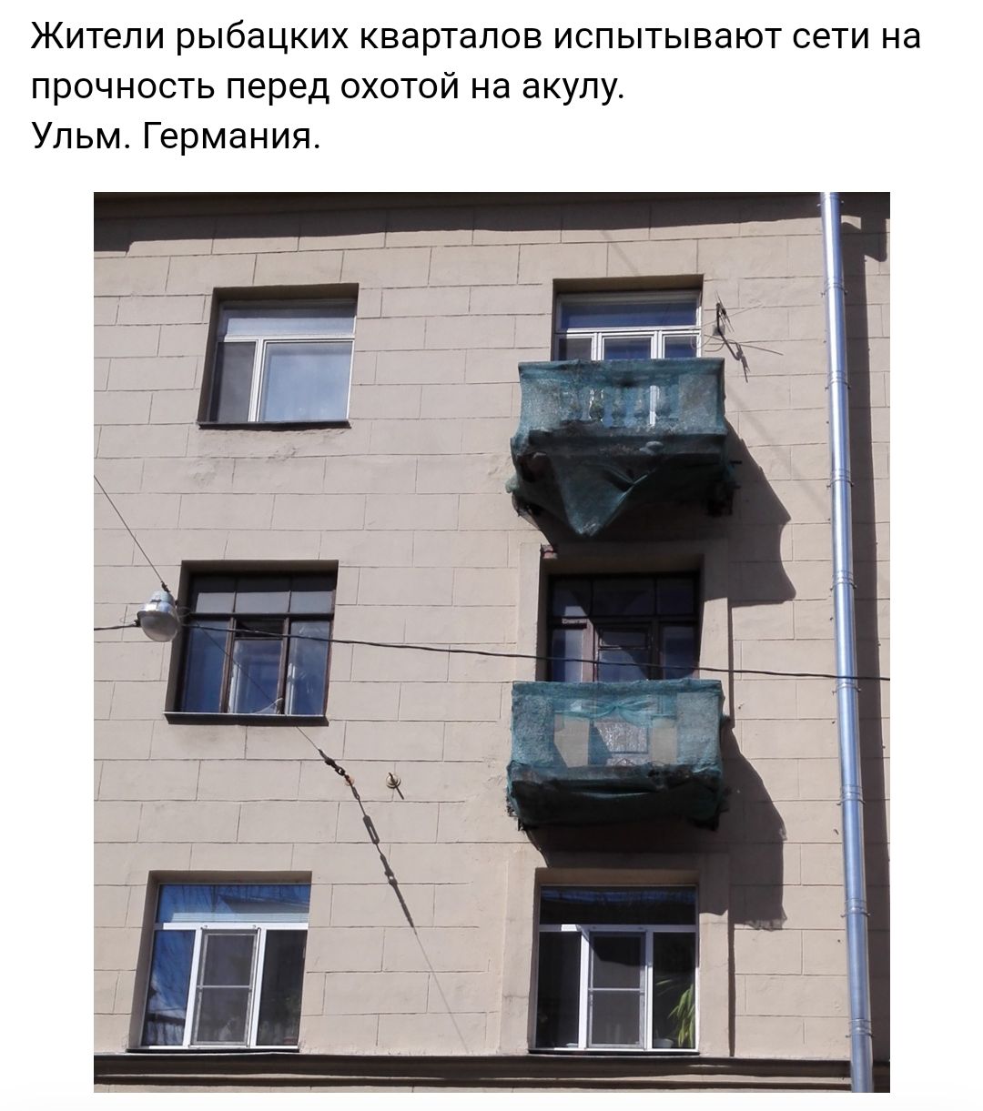 Жители рыбацких кварталов испытывают сети на прочность перед охотой на акулу Ульм Германия