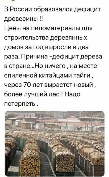 В России образовался дефицит древесины Цены на пиломатериалы для строительства деревянных домов за год выросли в два раза Причина деФицит дерева в странеНо ничего на месте спиленной китайцами тайги через 70 лет вырастет новый более лучший пес Надо потерпеть