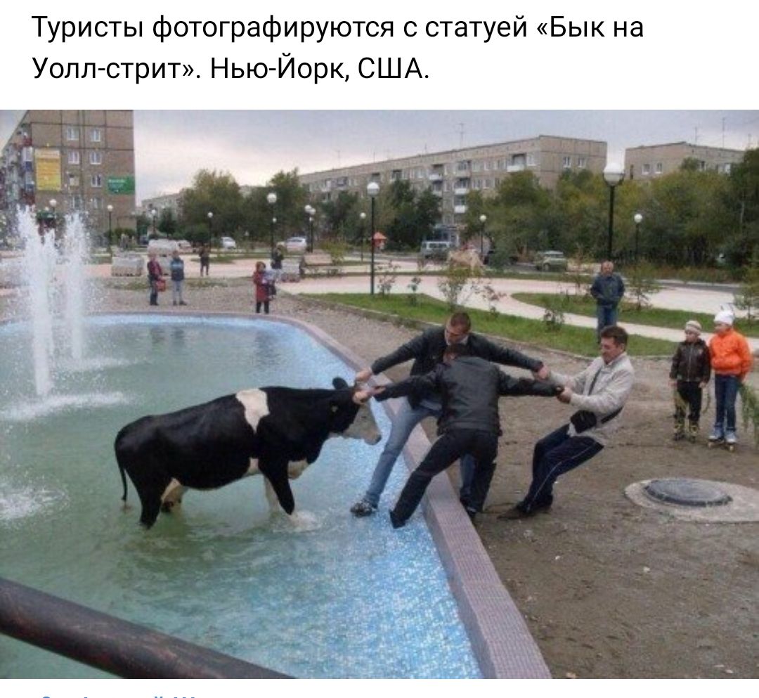 Туристы фотографируются с статуей Бык на Уолл стрит Нью Йорк США