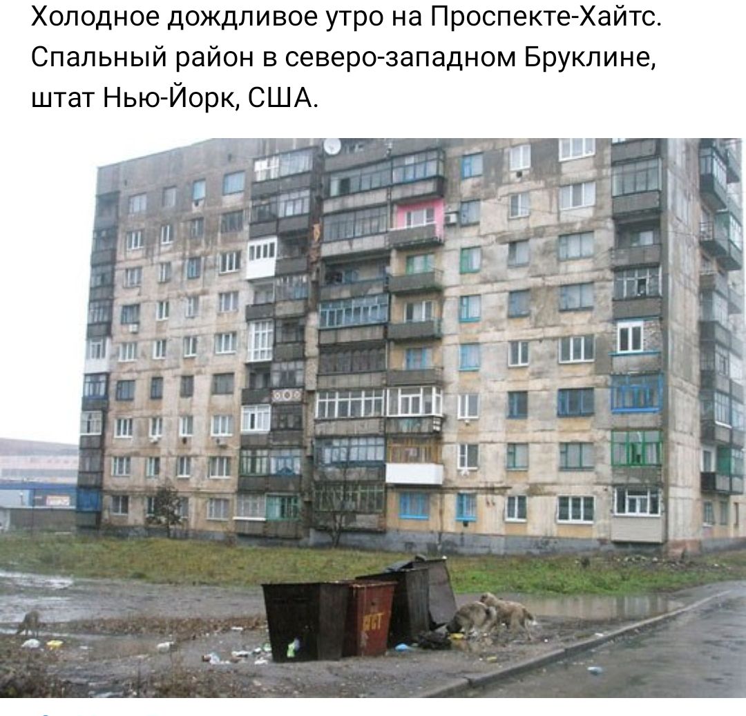 Холодное дождливое утро на Проспекте Хаитс Спальный район в северо западном Бруклине штат Нью Йорк США П Щ ити