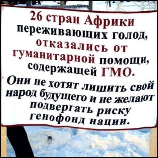 ___ 26 стран Африки переживающих голод отказались от гумаиитаРной помощи содержащй гмо Они не хотят лишить сво народ бШущет не желают подвергать риску генофонд Нации