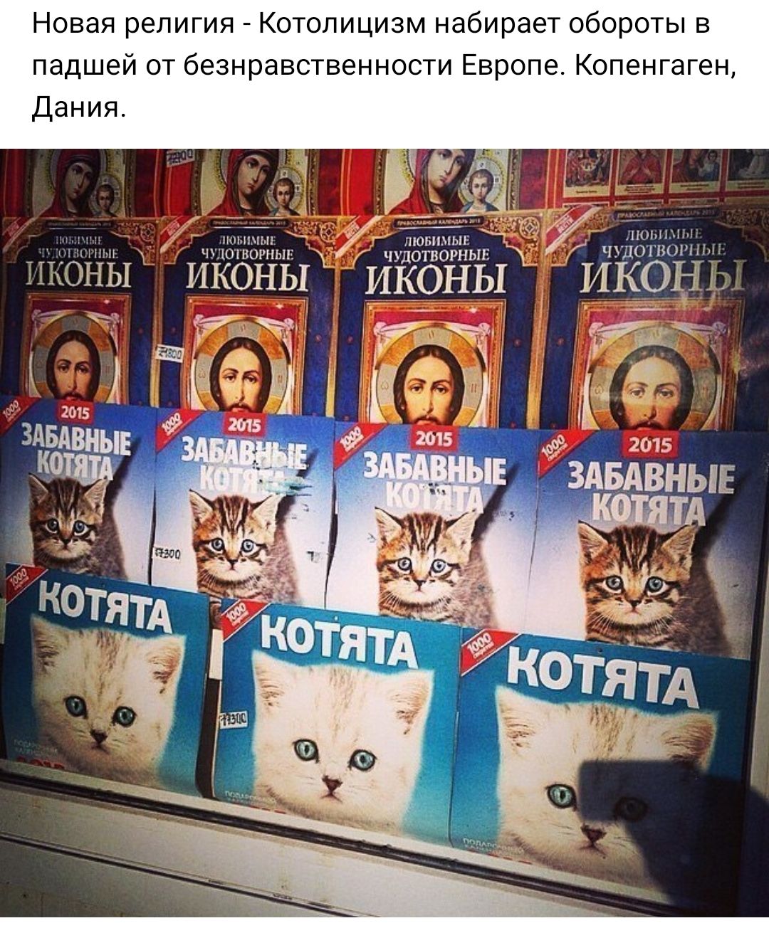 Новая религия Котолицизм набирает обороты в падшей от безнравственности Европе Копенгаген ТюпЩ п по г чгізгюншршп ПДОТВОРНЫЕ ДОШВОШН иконы иконы ИКОЬ