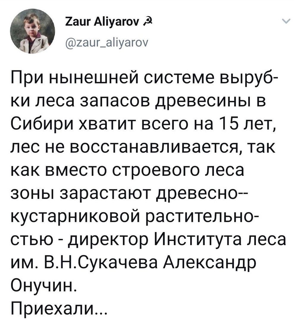 2ацг Аіуагоч 9 і 2ацг_аіуаг0 При нынешней системе выруб ки леса запасов древесины в Сибири хватит всего на 15 лет лес не восстанавливается так как вместо строевого леса зоны зарастают древесно кустарниковой растительно стью директор Института леса им ВНСукачева Александр Онучин Приехали
