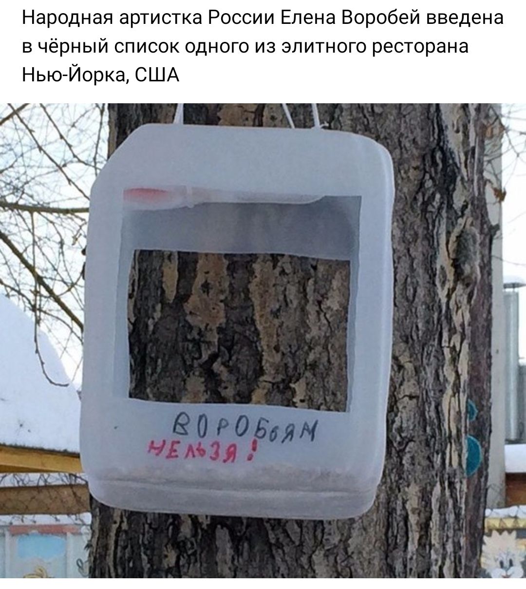 Народная артистка России Елена Воробей введена в чёрный список одного из элитного ресторана Нью Йорка США