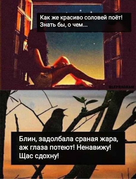 Как же красиво соловей поёт Знать бы о чем Блин задолбала сраная жара аж глаза потеют Ненавижу Щас сдохну 1