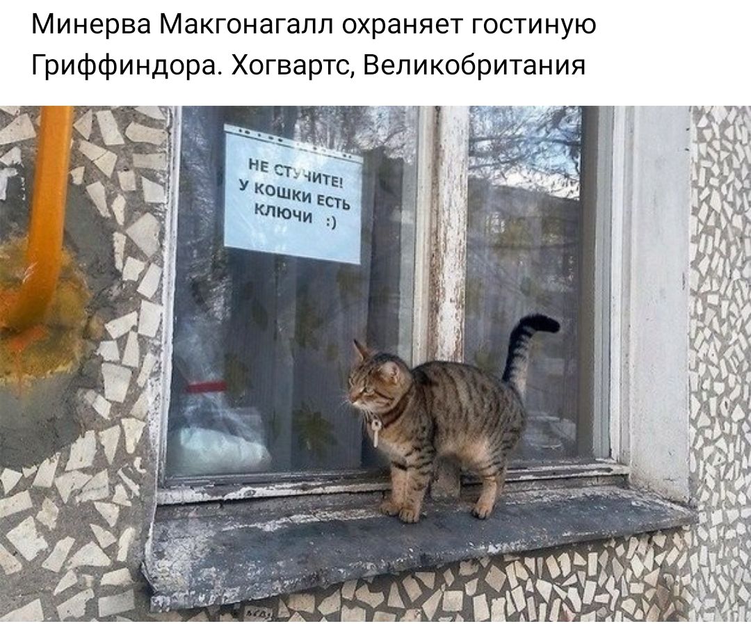 Минерва Макгонагалл охраняет гостиную Гриффиндора Хогвартс Великобритания 4 г