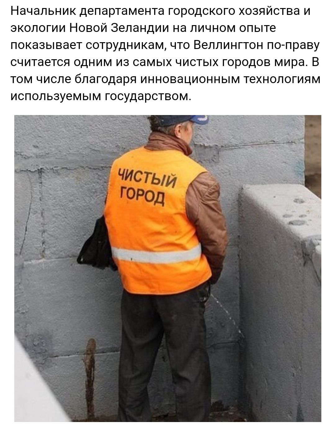 Начальник департамента городского хозяйства и экологии Новой Зеландии на личном опыте показывает сотрудникам что Веллингтон по праву считается одним из самых чистых городов мира В том числе благодаря инновационным технологиям используемым государством