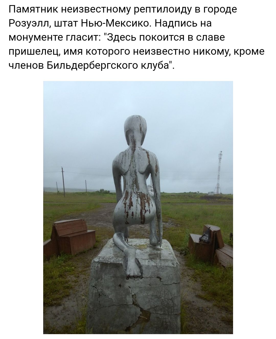 Памятник неизвестному рептилоиду в городе Розуэлл штат Нью Мексико Надпись на монументе гласит Здесь покоится в славе пришелец имя которого неизвестно никому кроме членов Бильдербергского клуба