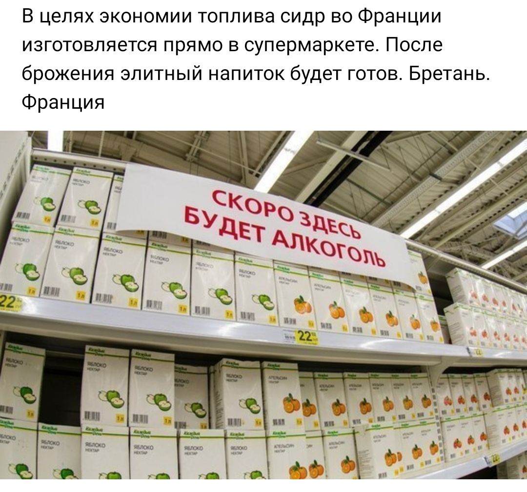 В целях экономии топлива сидр во Франции изготовляется прямо в супермаркете После брожения элитный напиток будет готов Бретань Франция