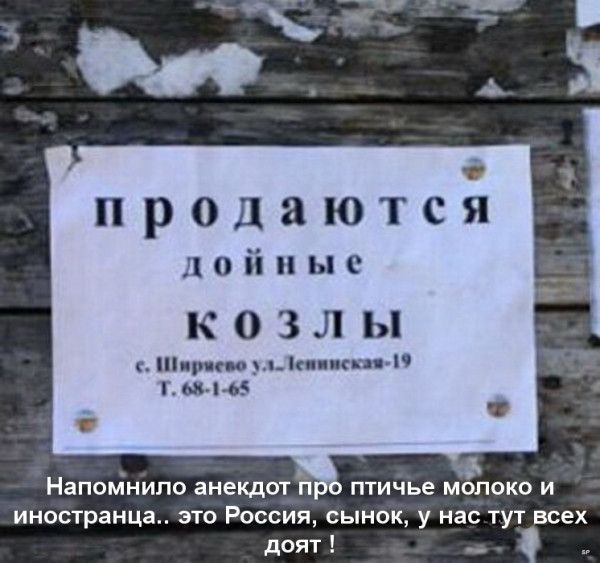 продаются й ые КОЗЛ Ы Шир ею ул інші снг М6 Напомнило анекдот пп птичье молоко и иностранца это Россия сынок у нас тут всех доят __