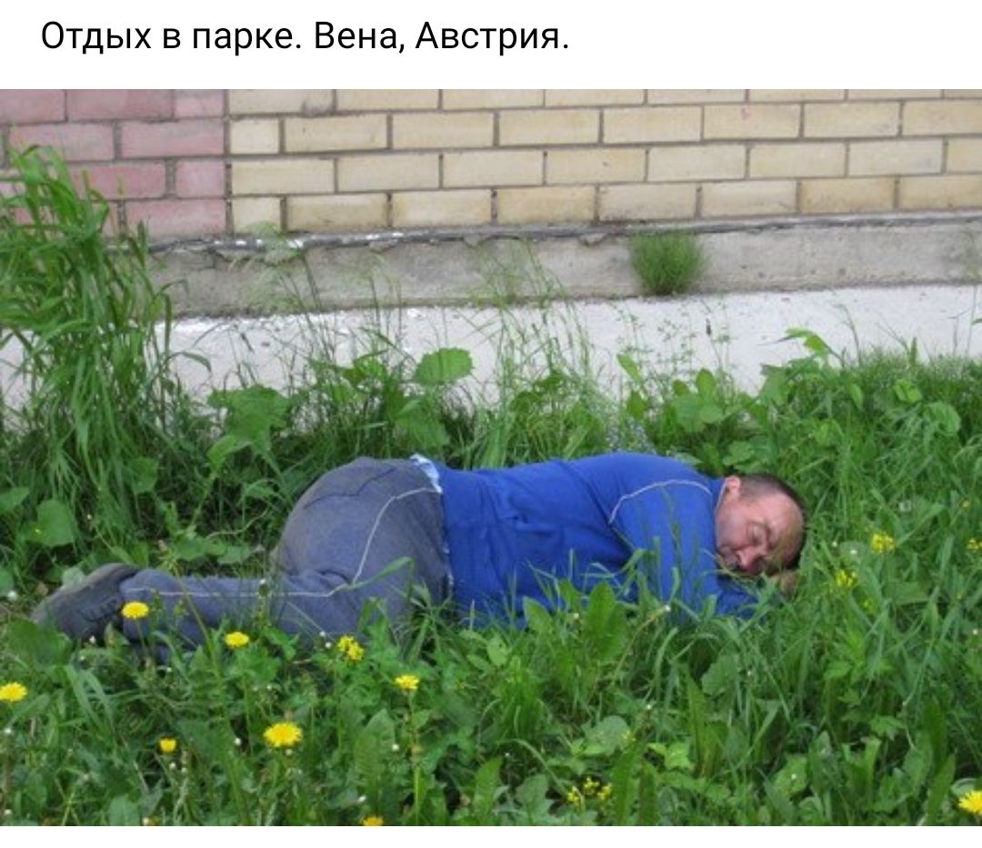 Отдых в парке. Вена, австрия.