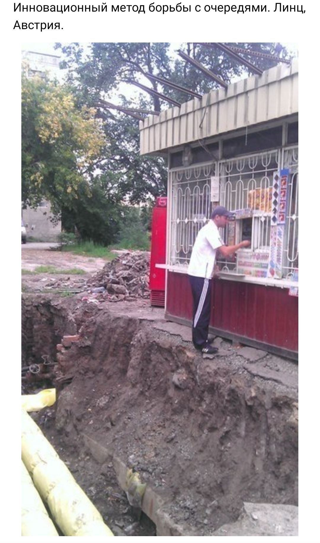 Ц Н И Л И М я д е о е Ч 0 с Ы б Ь о о 6 д 0 Т е М Й Ы Н Н 0 И Ц В 0 Н Н И Я И 0 Т С В А