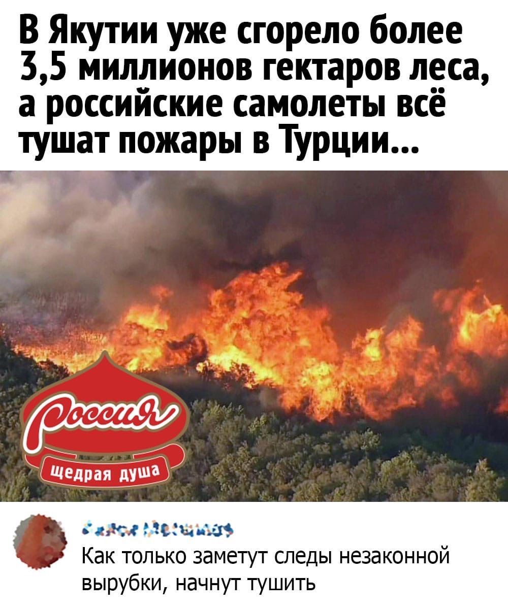 В Якутии уже сгорело более 35 миллионов гектаров леса а российские самолеты всё тушат пожары в Турции Как только заметут следы незаконной вырубки начнут тушить