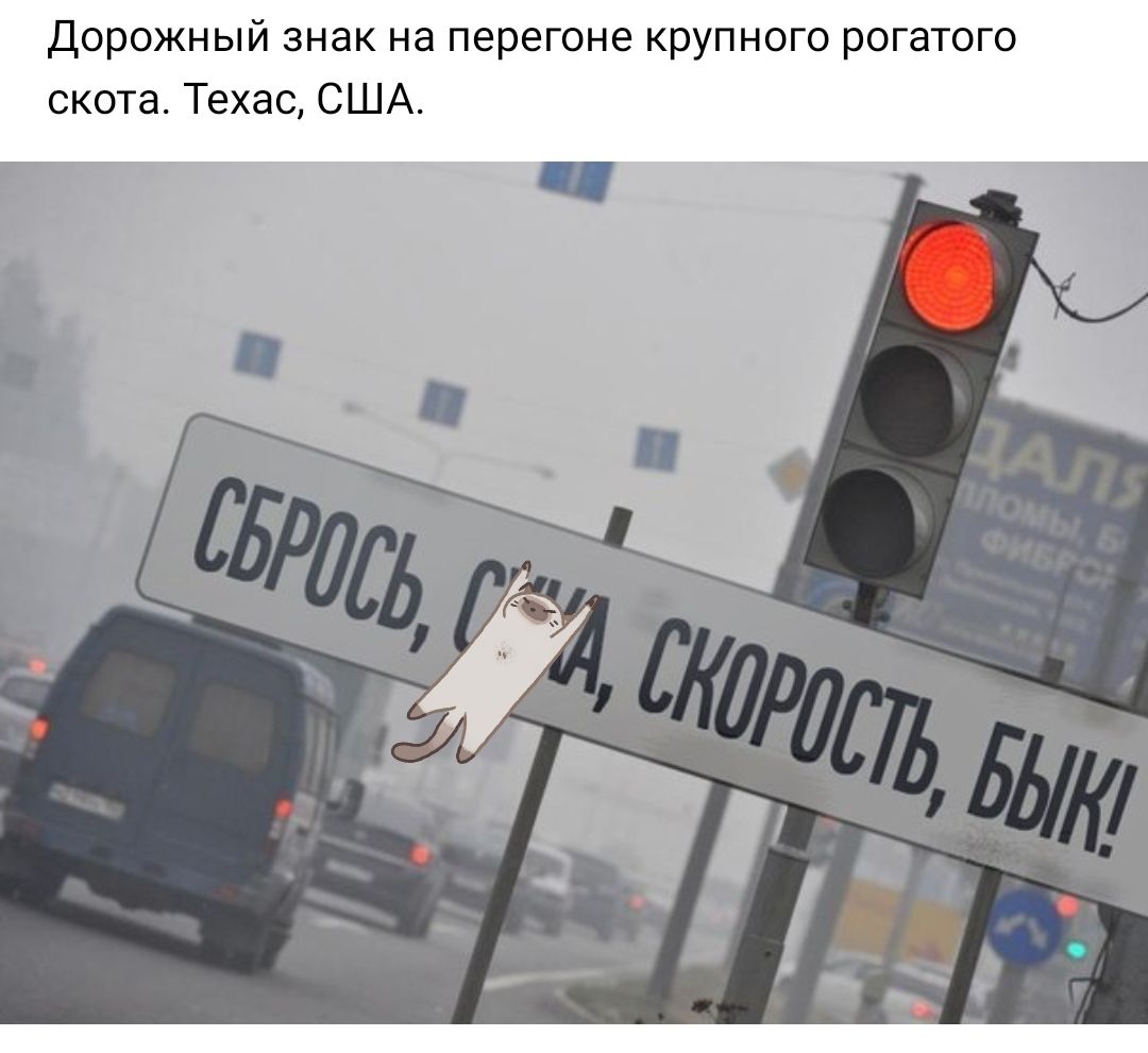 Дорожный знак на перегоне крупного рогатого скота Техас США