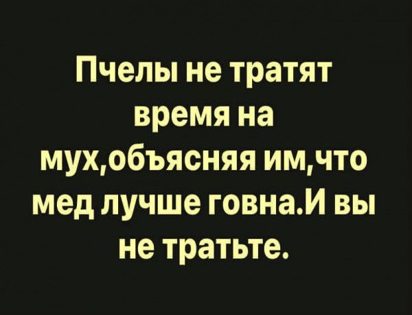 Пчелы не тратят время на мухобъясняя имчто мед лучше говнаИ вы не тратьте