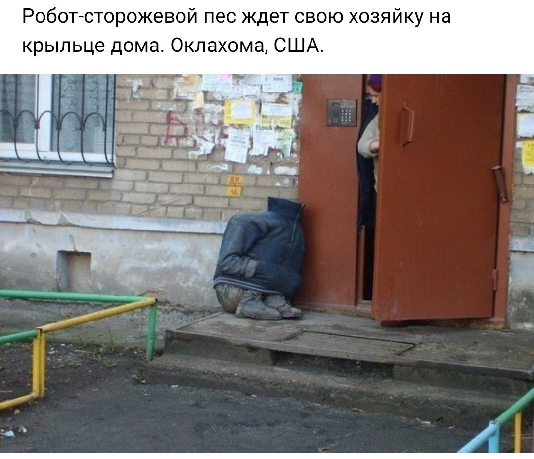 Робот сторожевой пес ждет свою хозяйку на крыльце дома Оклахома США