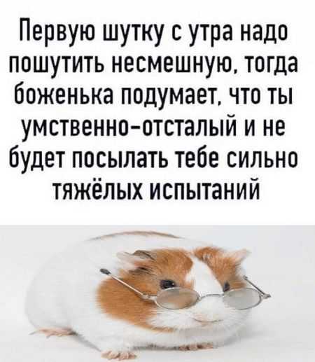 Первую шутку с утра надо пошутить несмешную тогда боженька подумает что ты умственно отсталый и не будет посылать тебе сильно тяжёлых испытаний чд