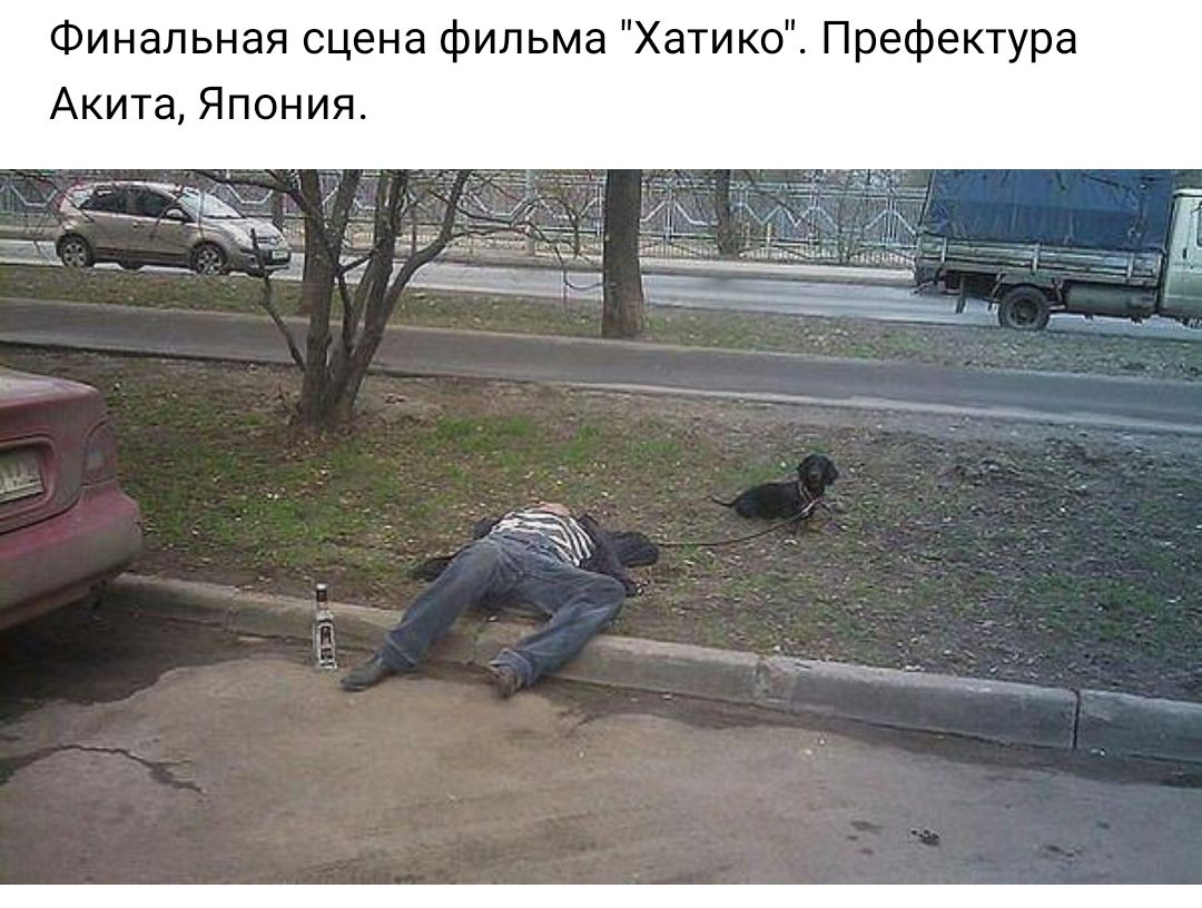 Финальная сцена фильма Хатико Префектура Акита Япония